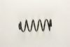 FIAT 7613584 Coil Spring